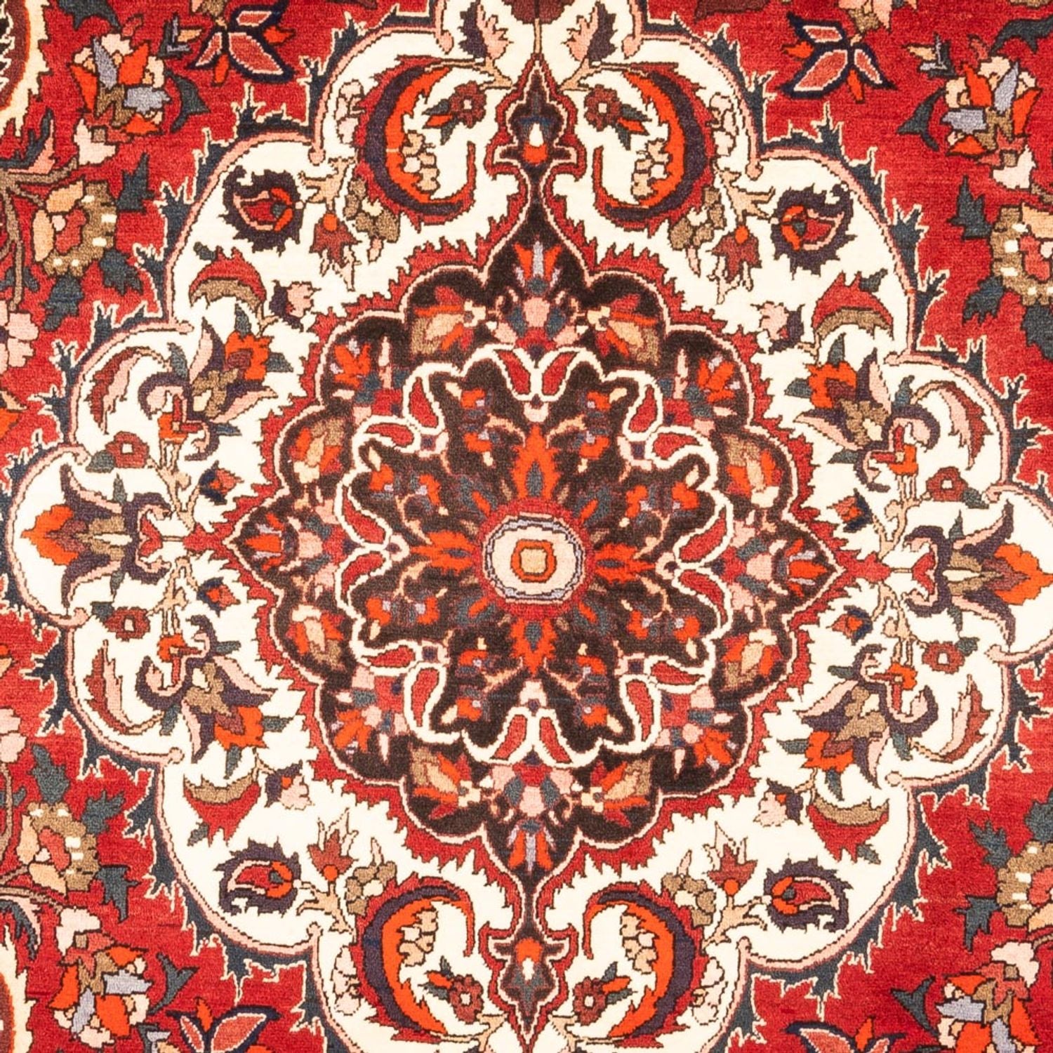 Persisk tæppe - Nomadisk - 305 x 210 cm - rød