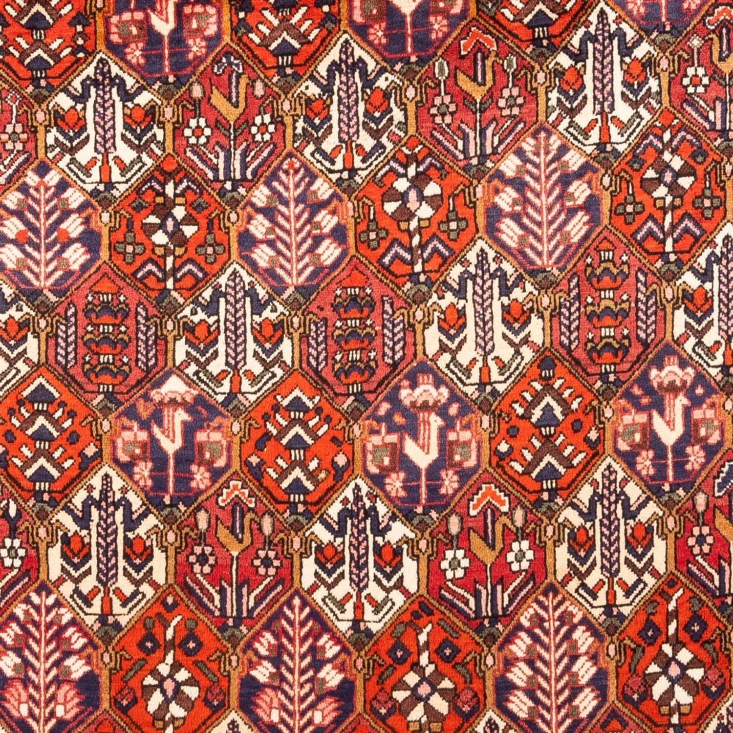 Persisk tæppe - Nomadisk - 310 x 210 cm - rød