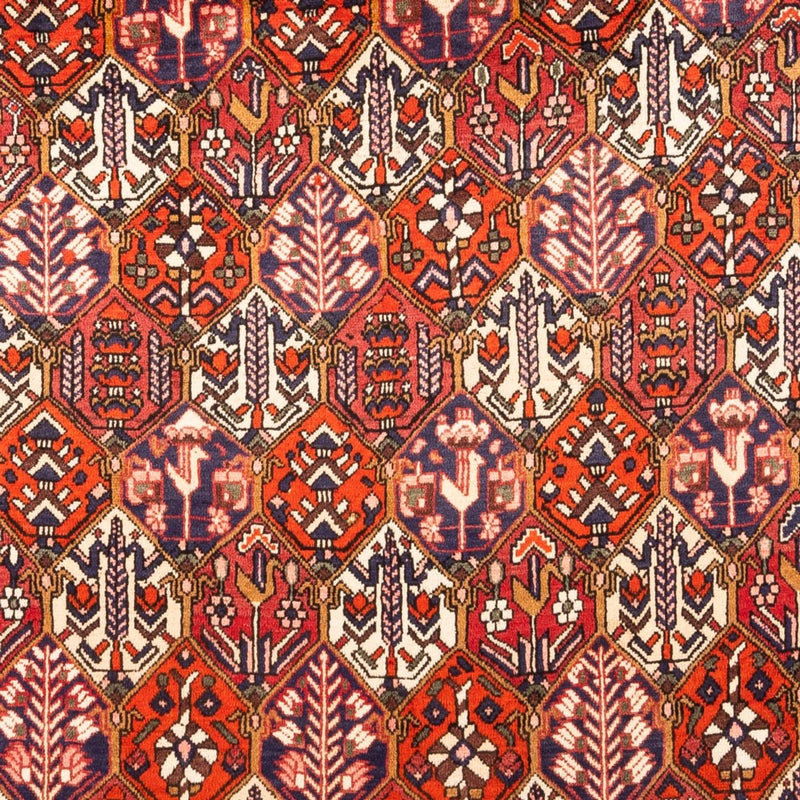 Persisk tæppe - Nomadisk - 310 x 210 cm - rød