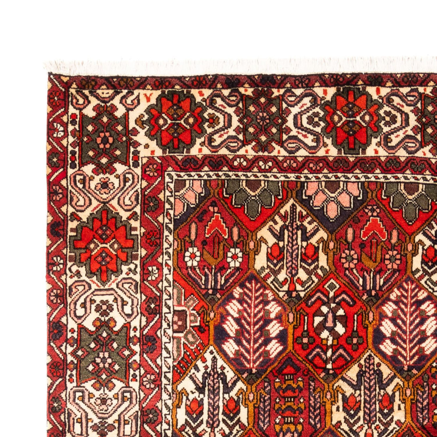 Bakhtiari Tæppe 310x210cm - Persisk tæppe