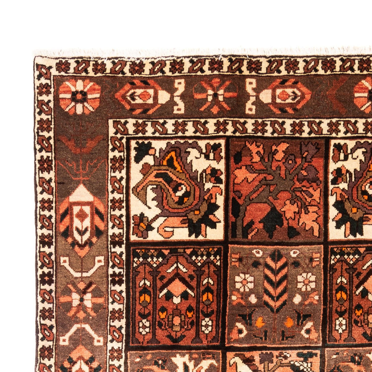 Bakhtiari Tæppe 206x307cm - Persisk tæppe