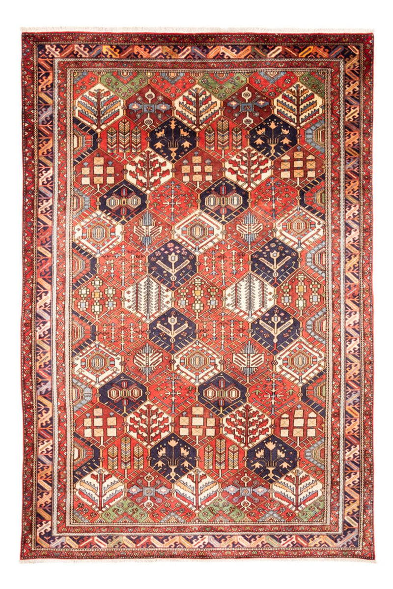 Gabbeh-tæppe - Persisk - 325 x 218 cm - flerfarvet