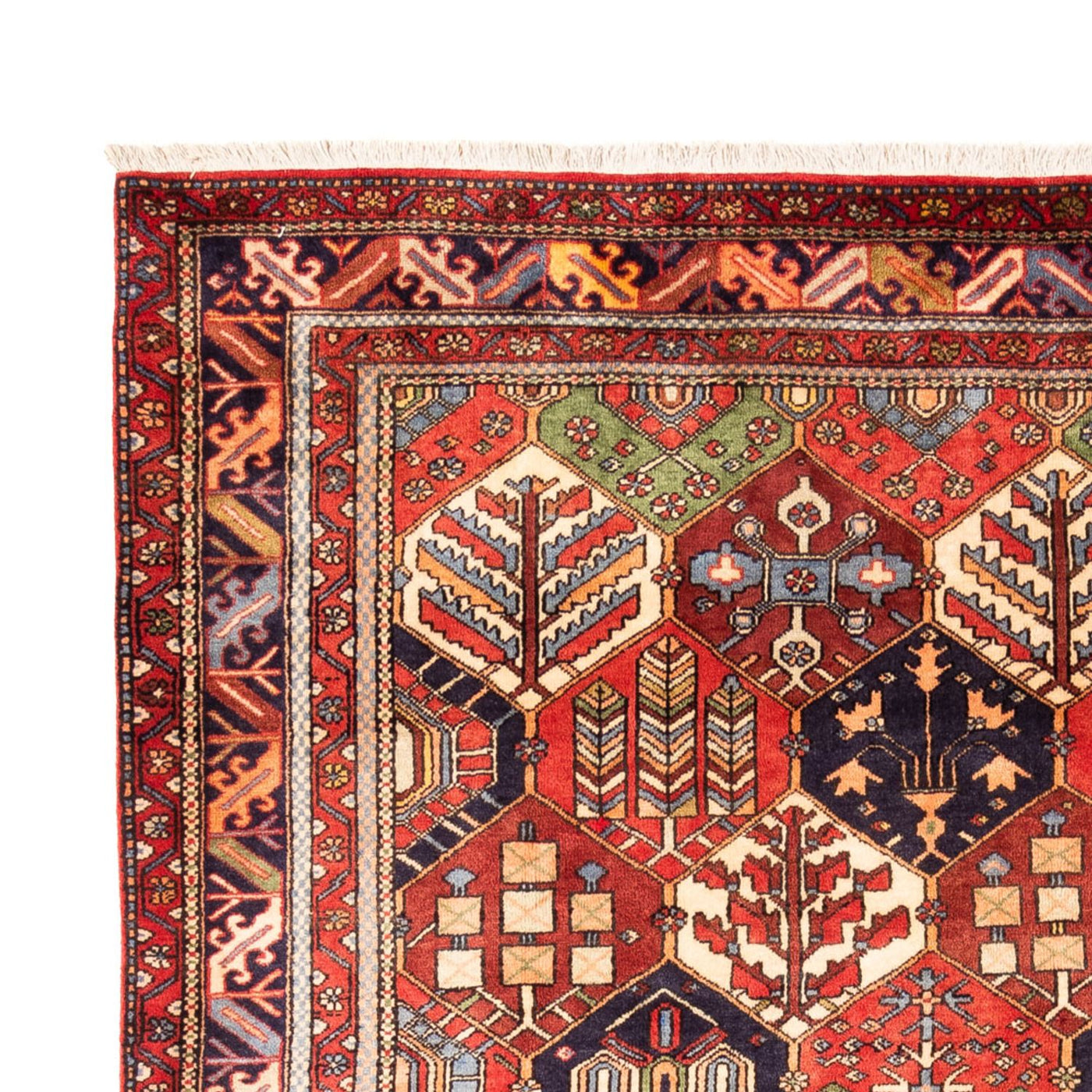 Persisk Gabbeh Tæppe 325x218cm - Perserteppich Wollteppich
