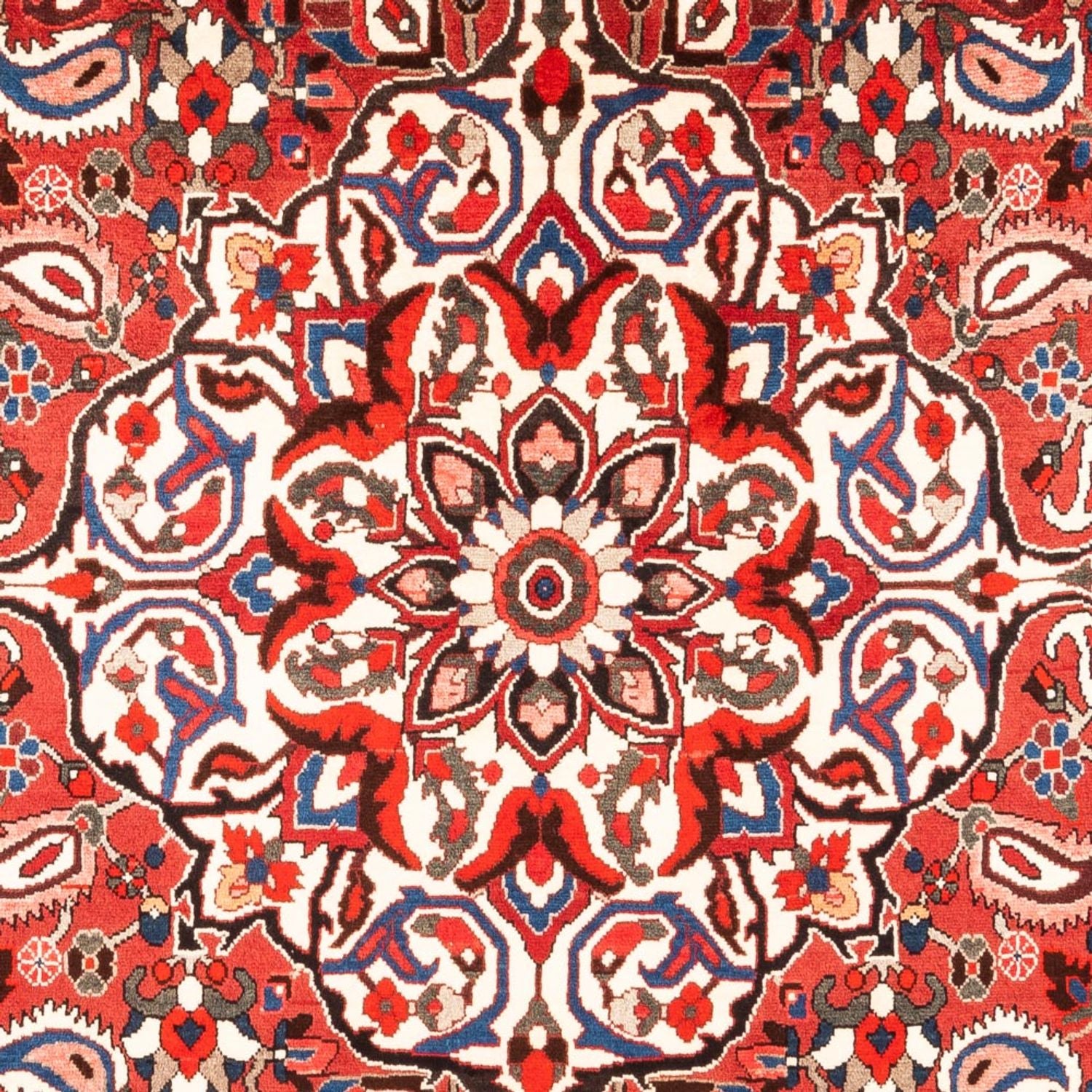 Persisk tæppe - Nomadisk - 315 x 207 cm - rød