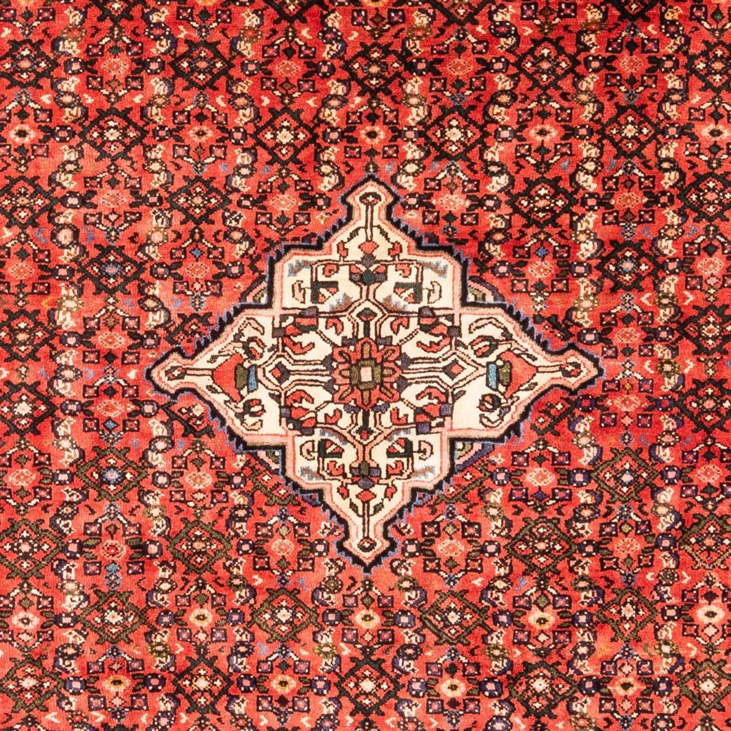Persisk tæppe - Nomadisk - Royal - 285 x 204 cm - flerfarvet