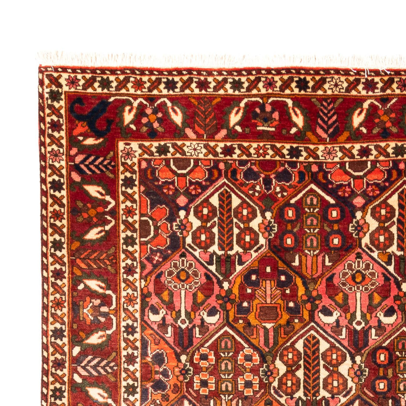 Bakhtiari Tæppe 308x210cm - Persisk tæppe