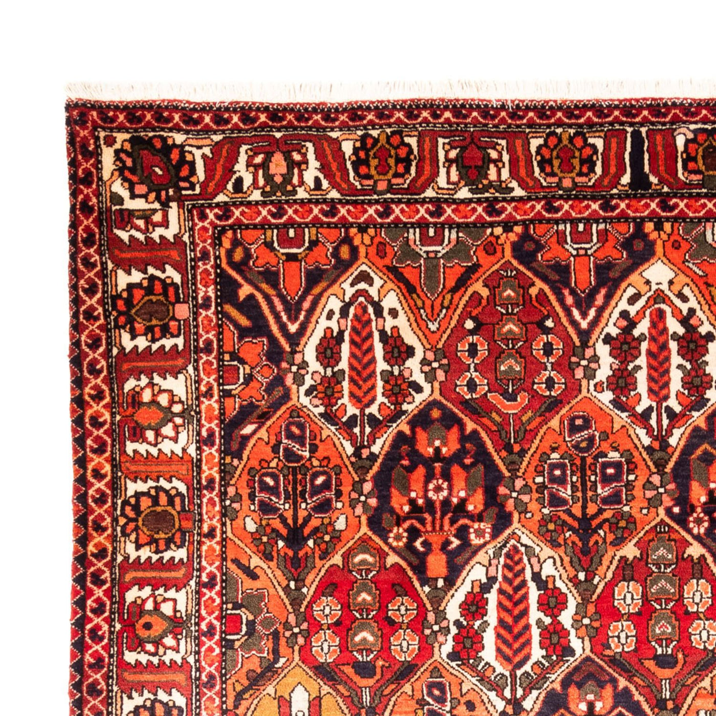 Bakhtiari Tæppe 300x220cm - Persisk tæppe