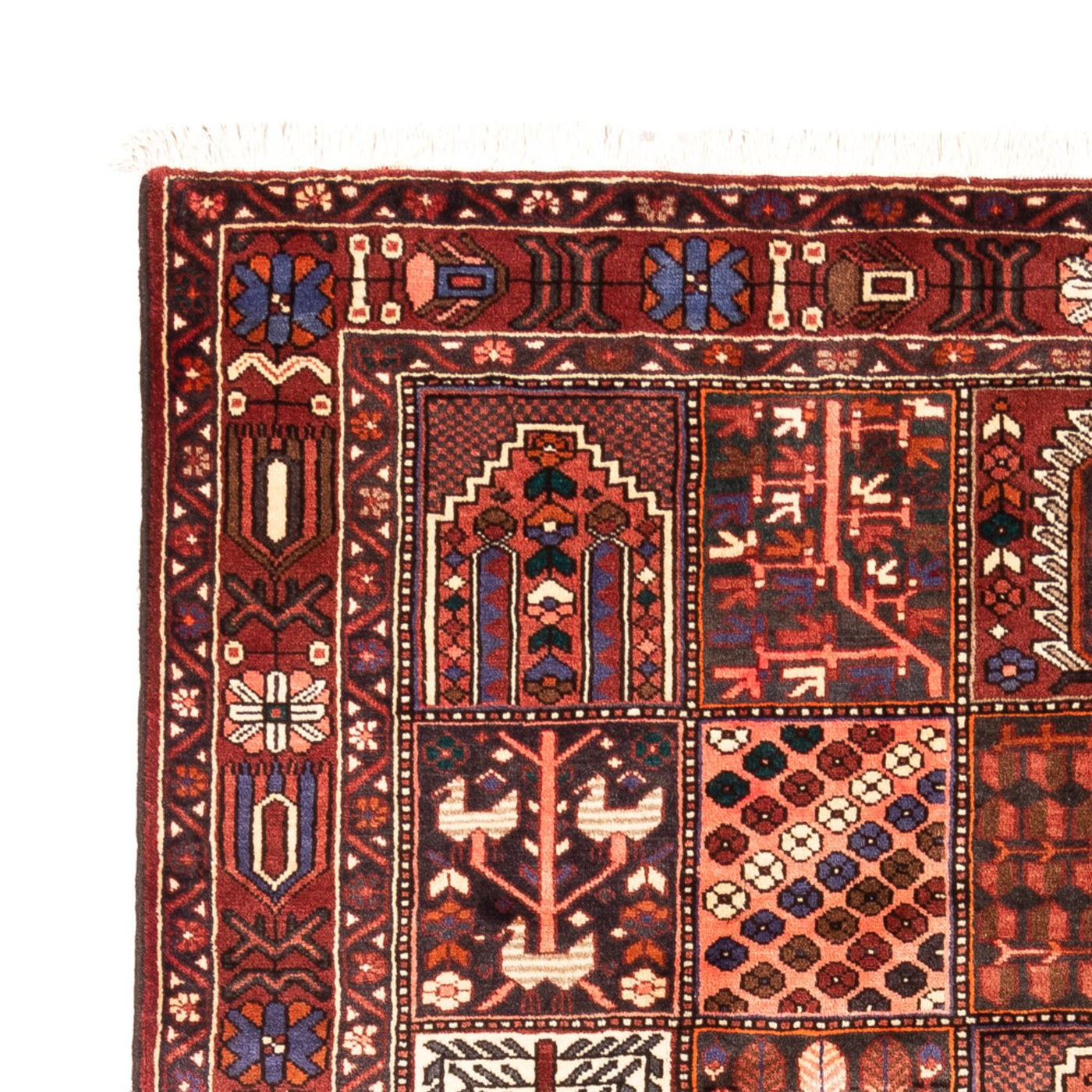 Bakhtiari Tæppe 310x208cm - Persisk tæppe