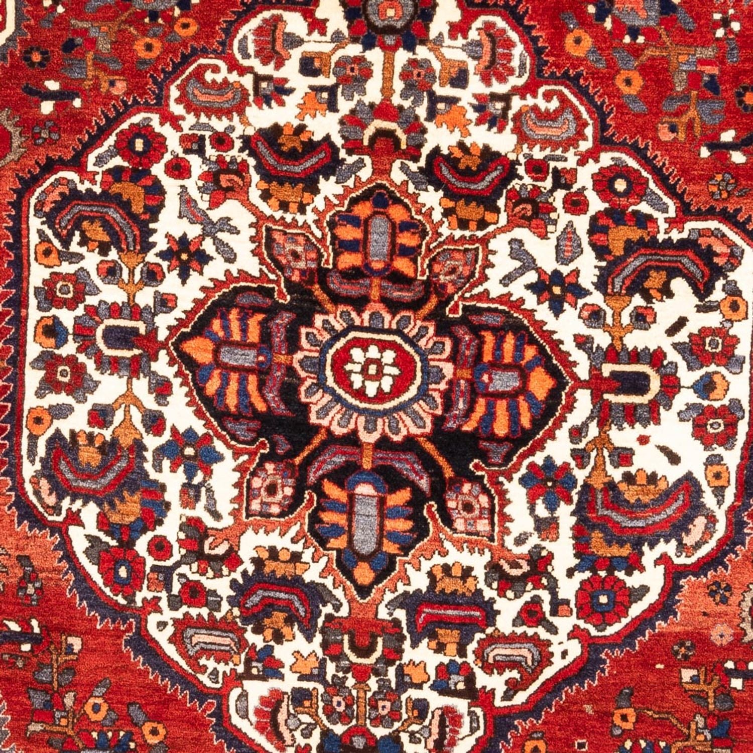 Gabbeh-tæppe - Persisk - 302 x 207 cm - flerfarvet