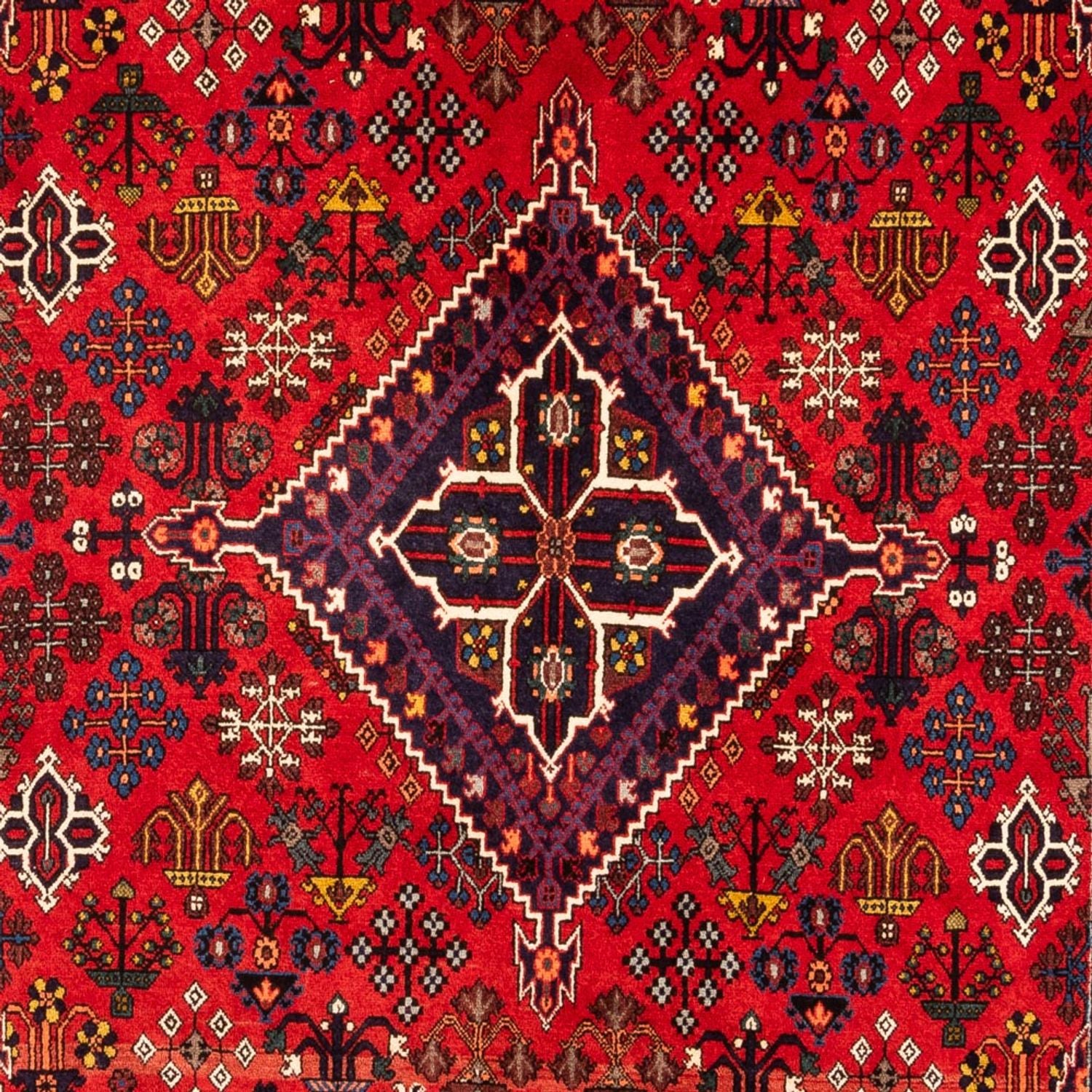 Gabbeh-tæppe - Persisk - 320 x 216 cm - flerfarvet