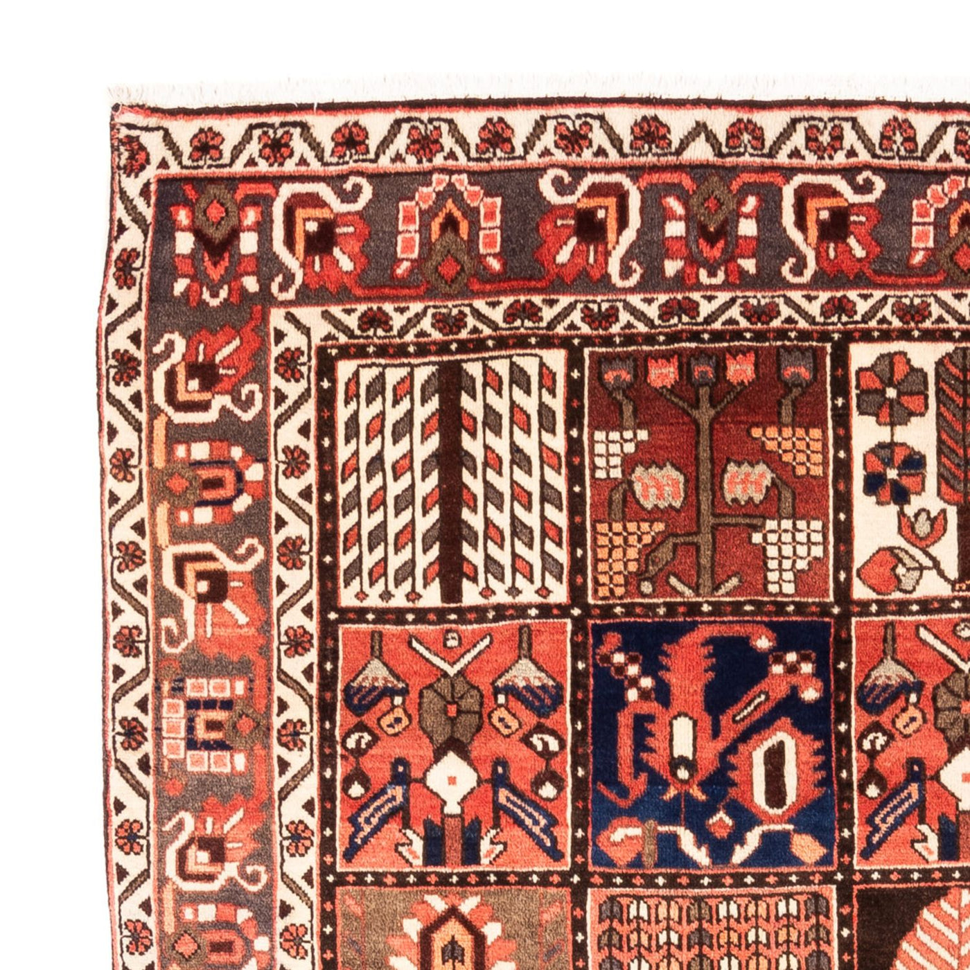 Bakhtiari Tæppe 304x198cm - Persisk tæppe