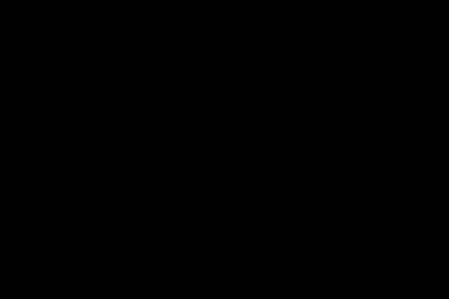 Persisk tæppe - Nomadisk - 155 x 105 cm - blå