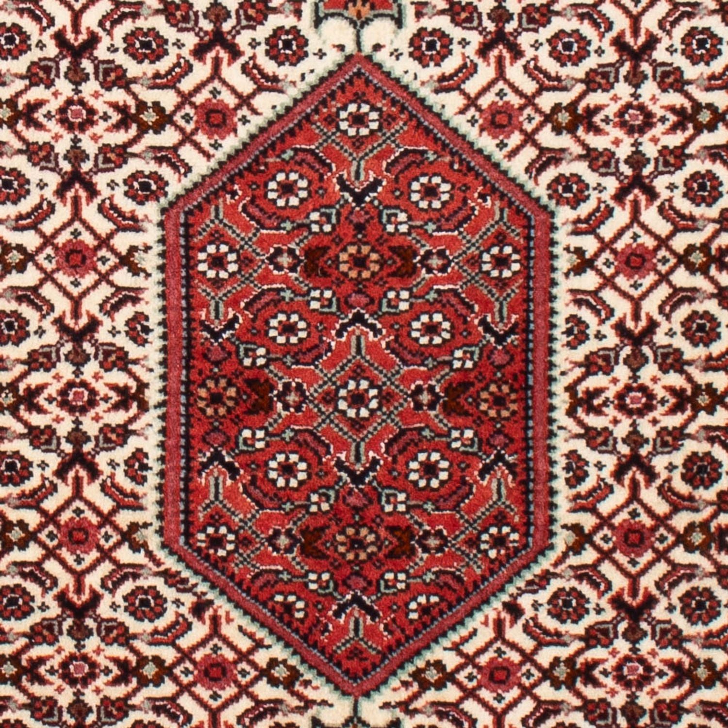 Persisk tæppe - Bijar - Royal - 90 x 70 cm - beige
