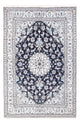 Nain Tæppe 249x166cm - Persisk tæppe