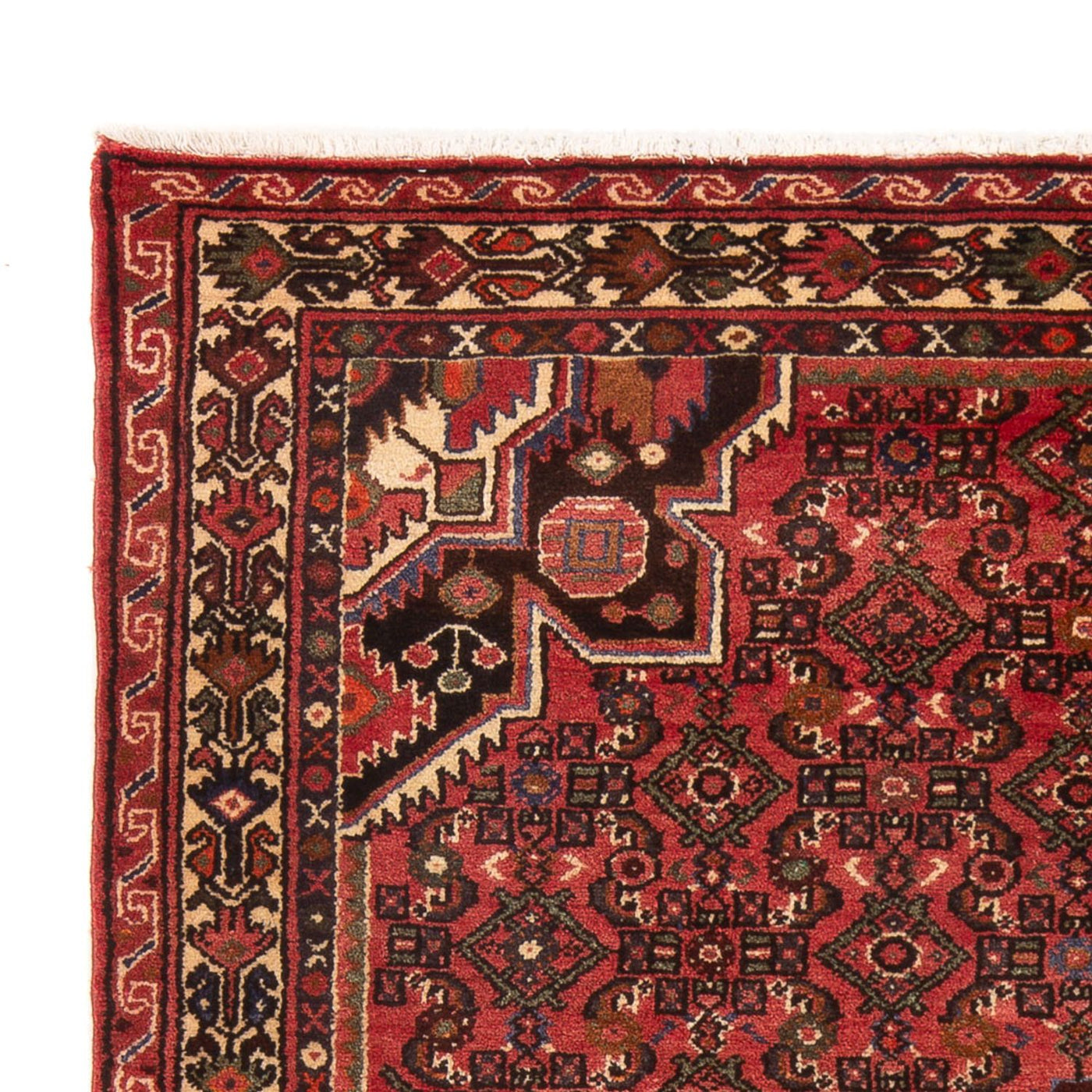 Hamadan Tæppe 220x155cm - Persisk tæppe