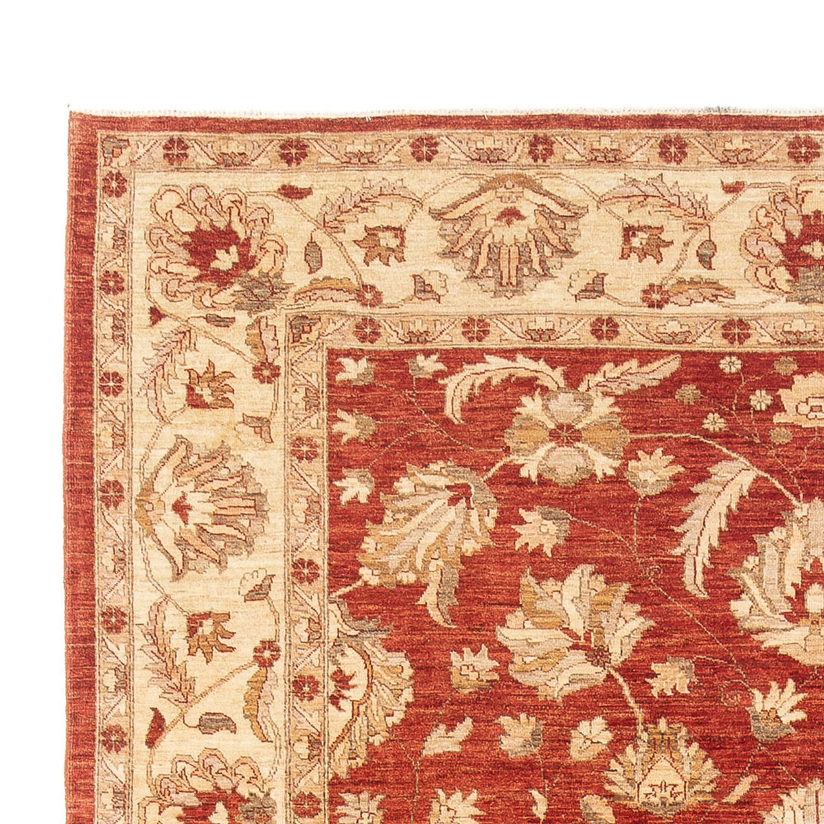 Ziegler Carpet 271x367cm - Persisk tæppe