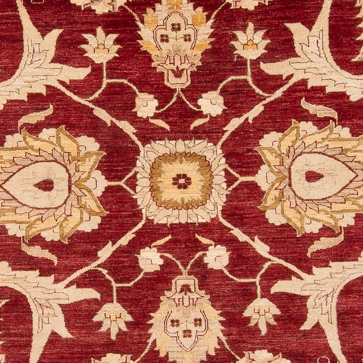 Ziegler Carpet - 371 x 298 cm - rød