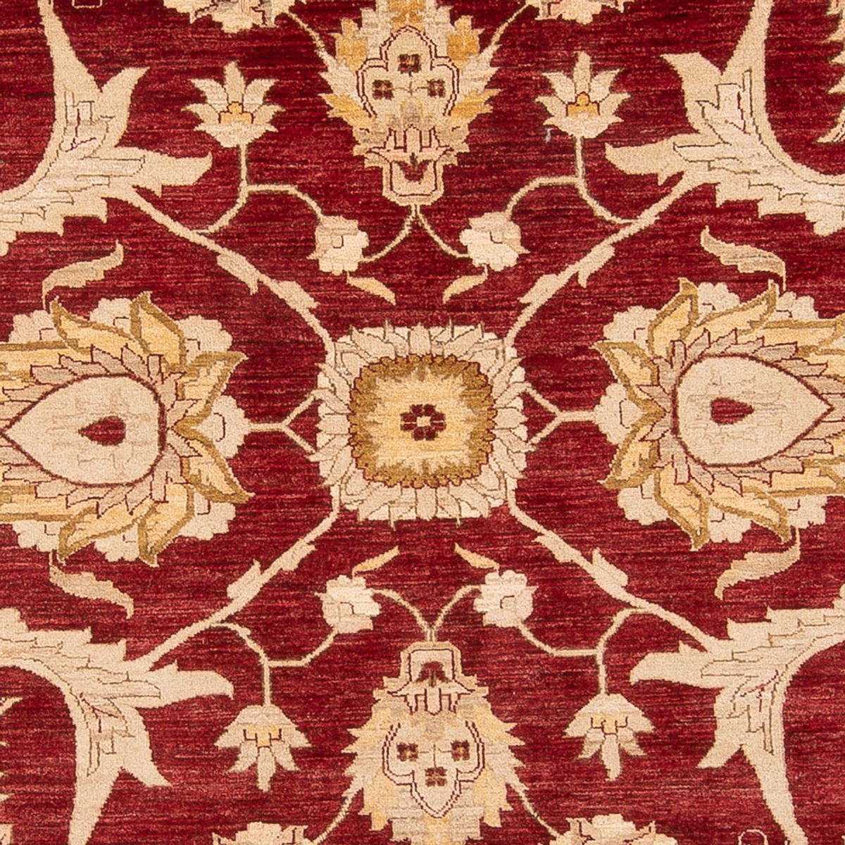 Ziegler Carpet - 371 x 298 cm - rød