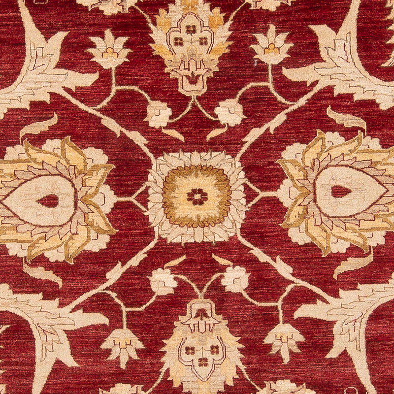 Ziegler Carpet - 371 x 298 cm - rød