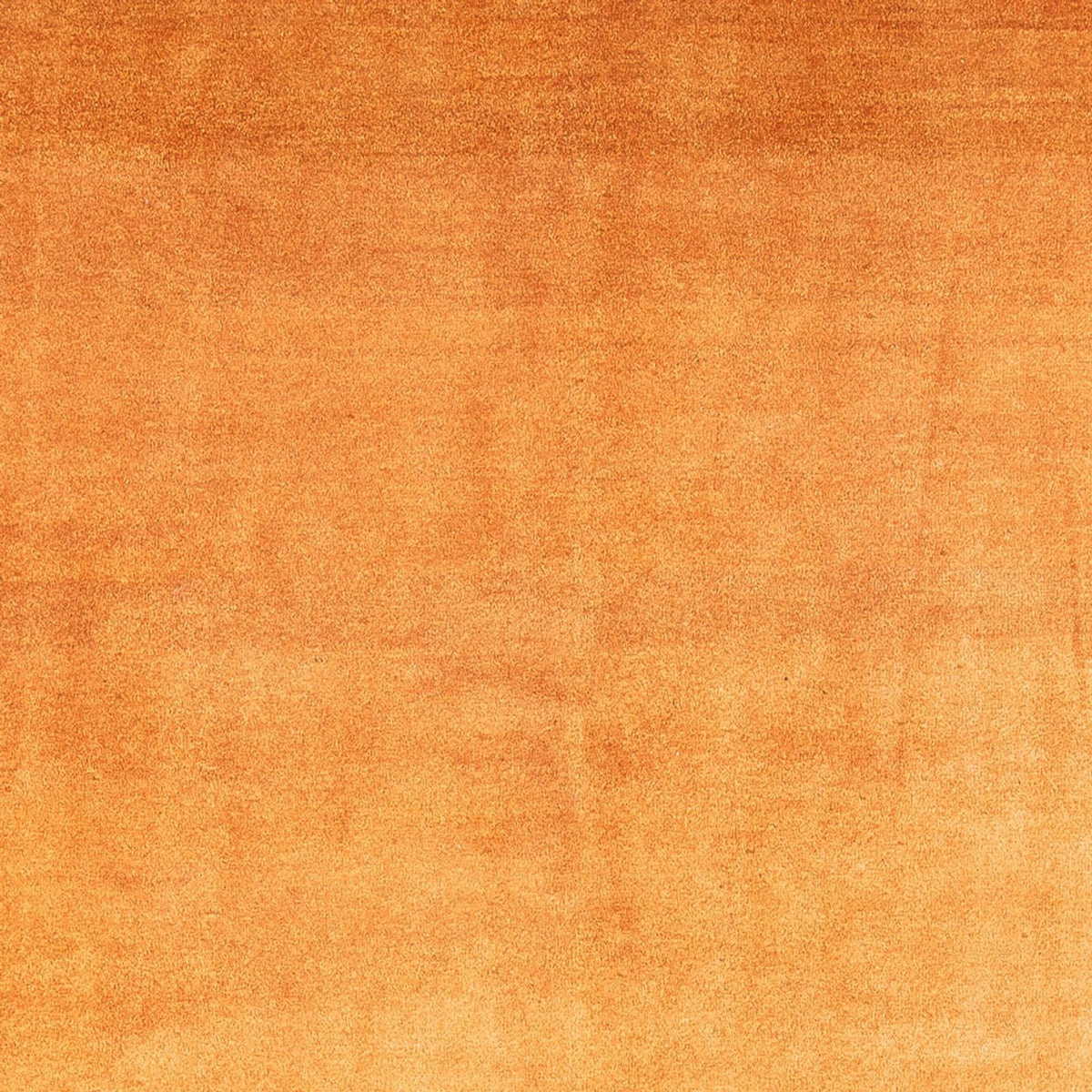 Gabbeh-tæppe - Persisk - 286 x 225 cm - guld