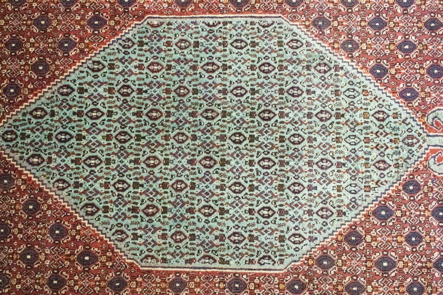 Persisk tæppe - Classic - 299 x 198 cm - blå
