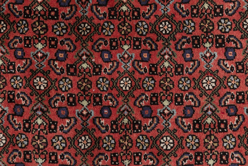 Perserteppich - Nomadic - 175 x 137 cm - rost