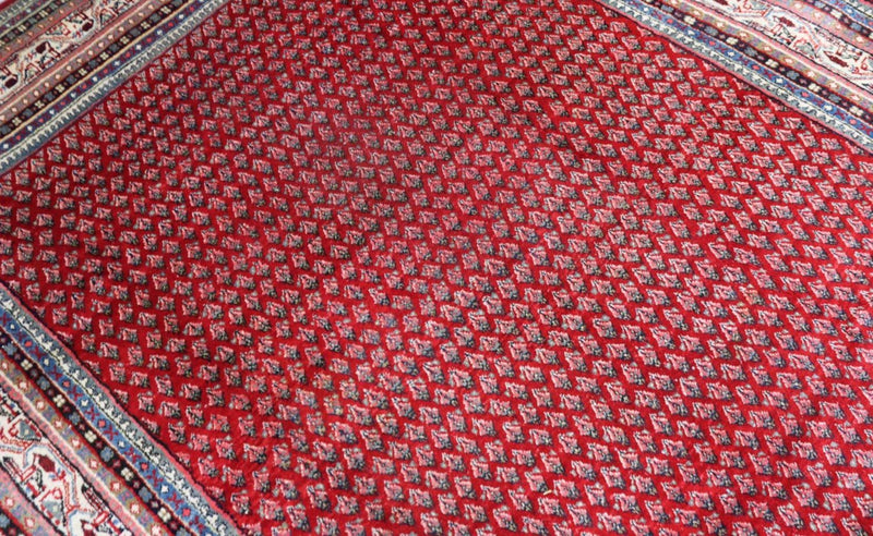 Persisk tæppe - Classic - 317 x 220 cm - rød