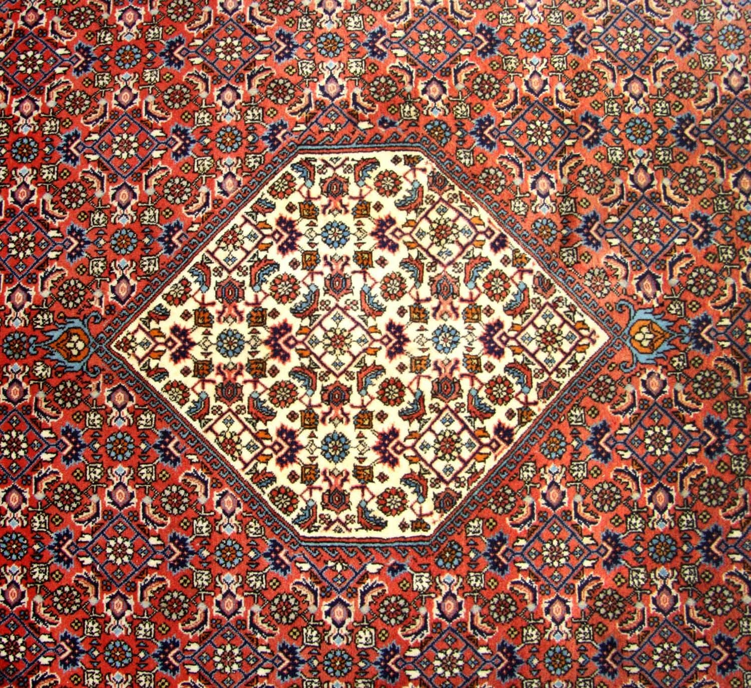 Persisk tæppe - Bijar firkantet  - 260 x 247 cm - brun