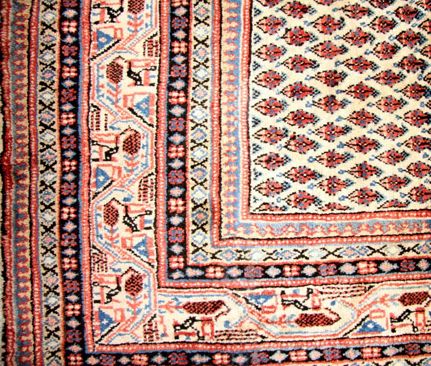 Persisk tæppe - Mir - 314 x 237 cm - beige