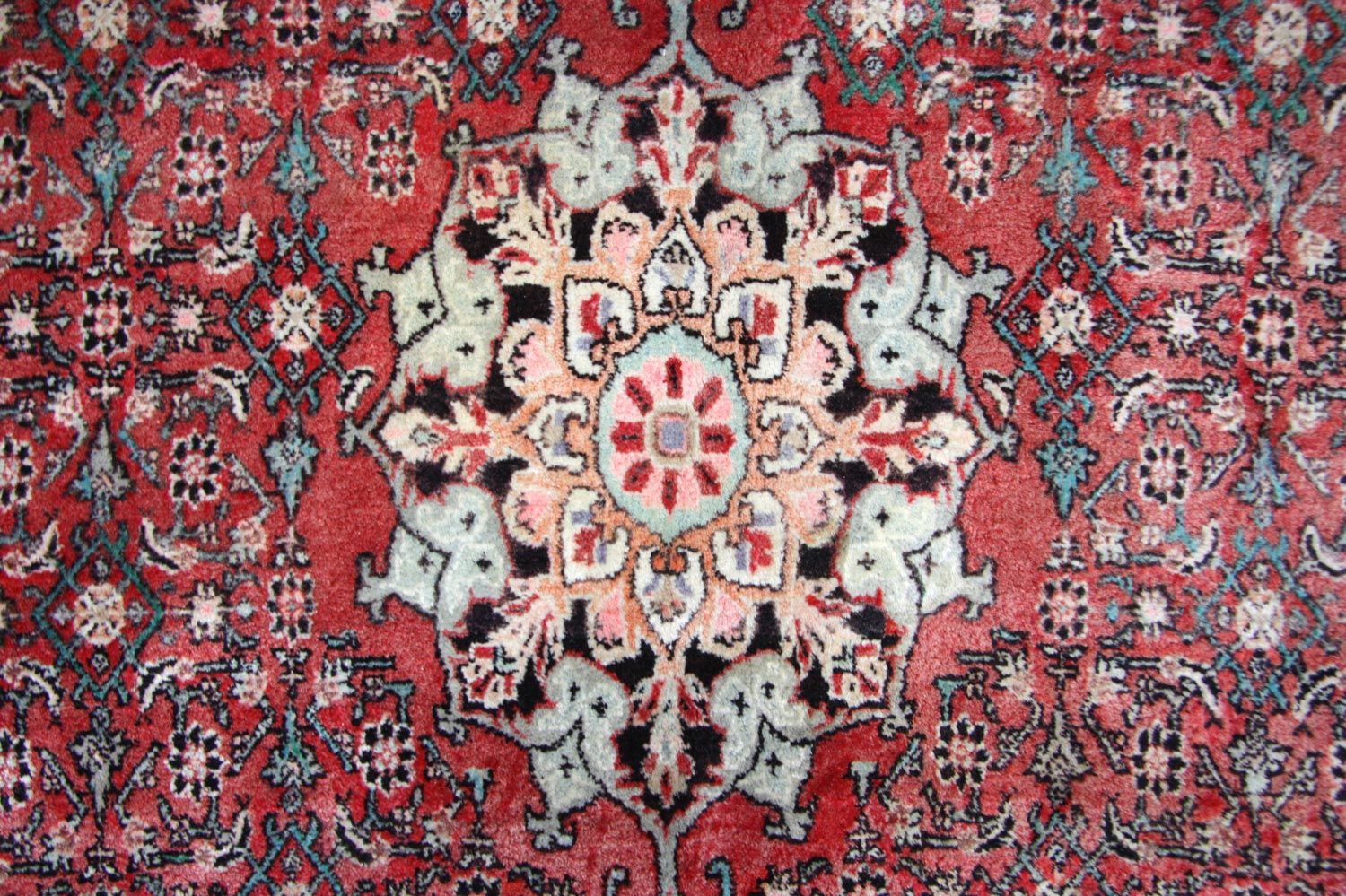 Persisk tæppe - Bijar - 245 x 144 cm - brun