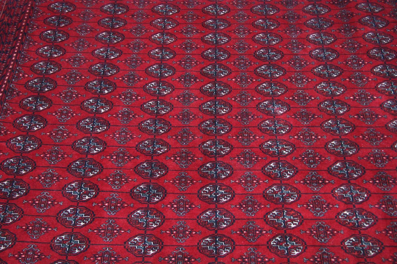 Afghansk tæppe - Bukhara - 338 x 258 cm - rød