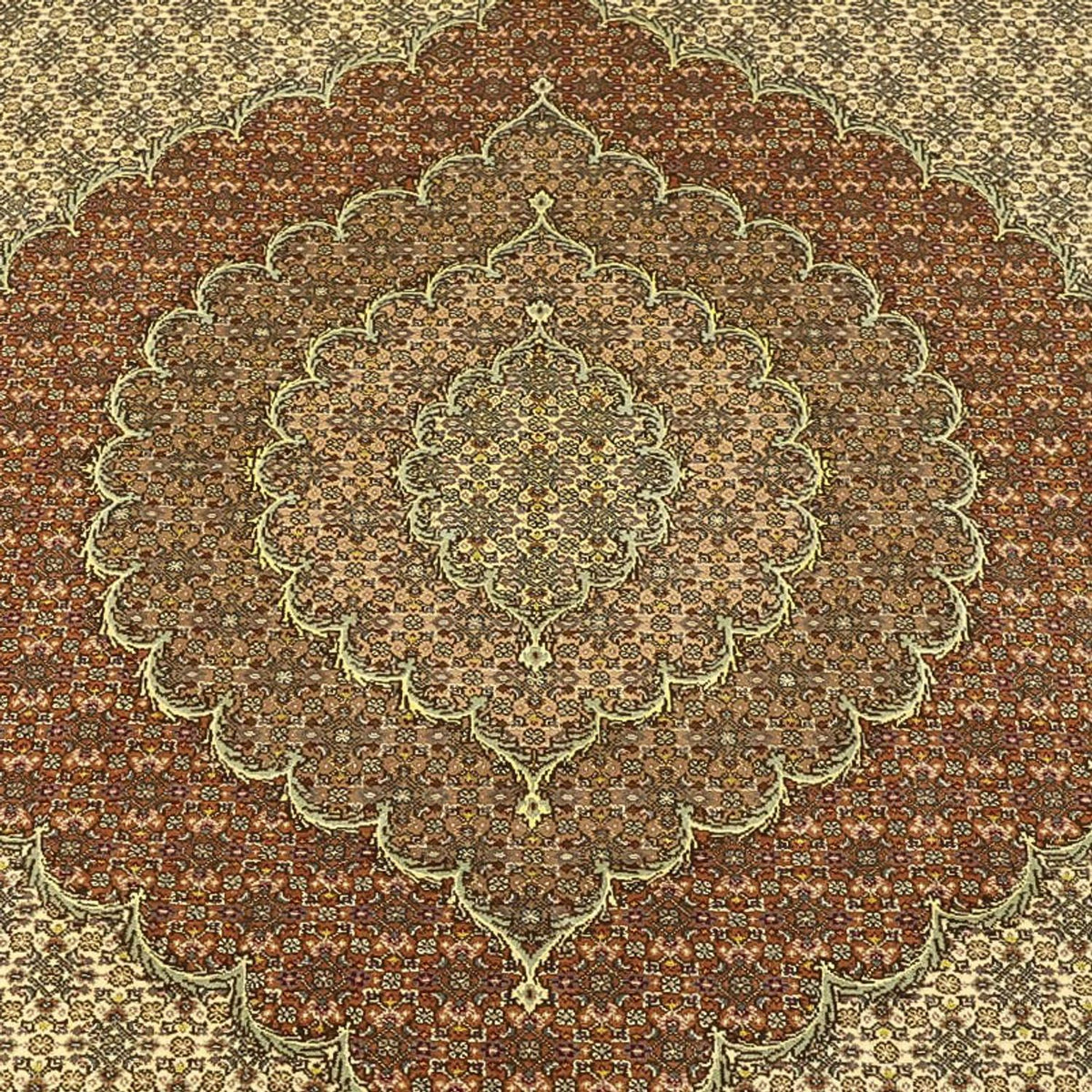 Persisk tæppe - Tabriz - Royal - Royal - 351 x 250 cm - mørk beige