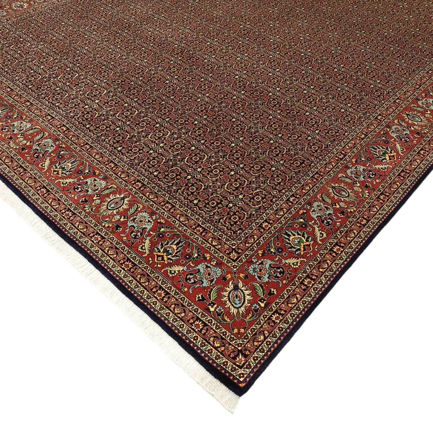 Persisk tæppe - Bijar - Royal - 342 x 252 cm - terrakotta