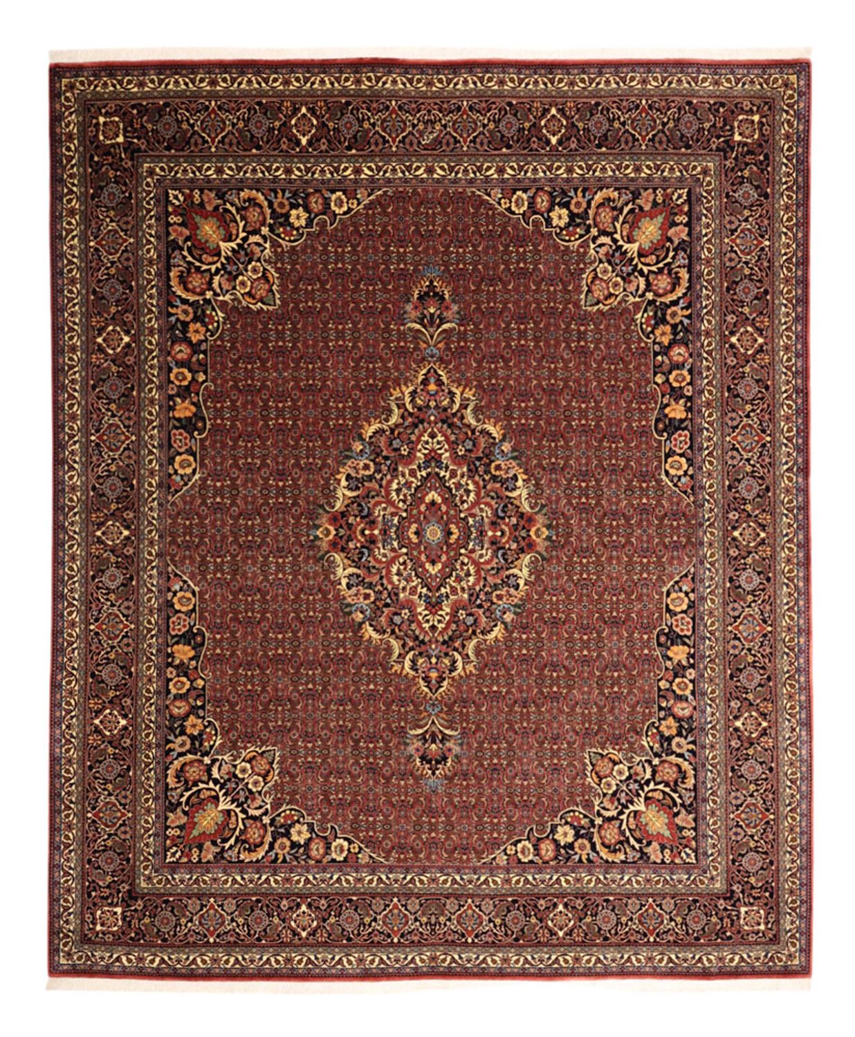 Persisk tæppe - Bijar - Royal - 304 x 254 cm - terrakotta