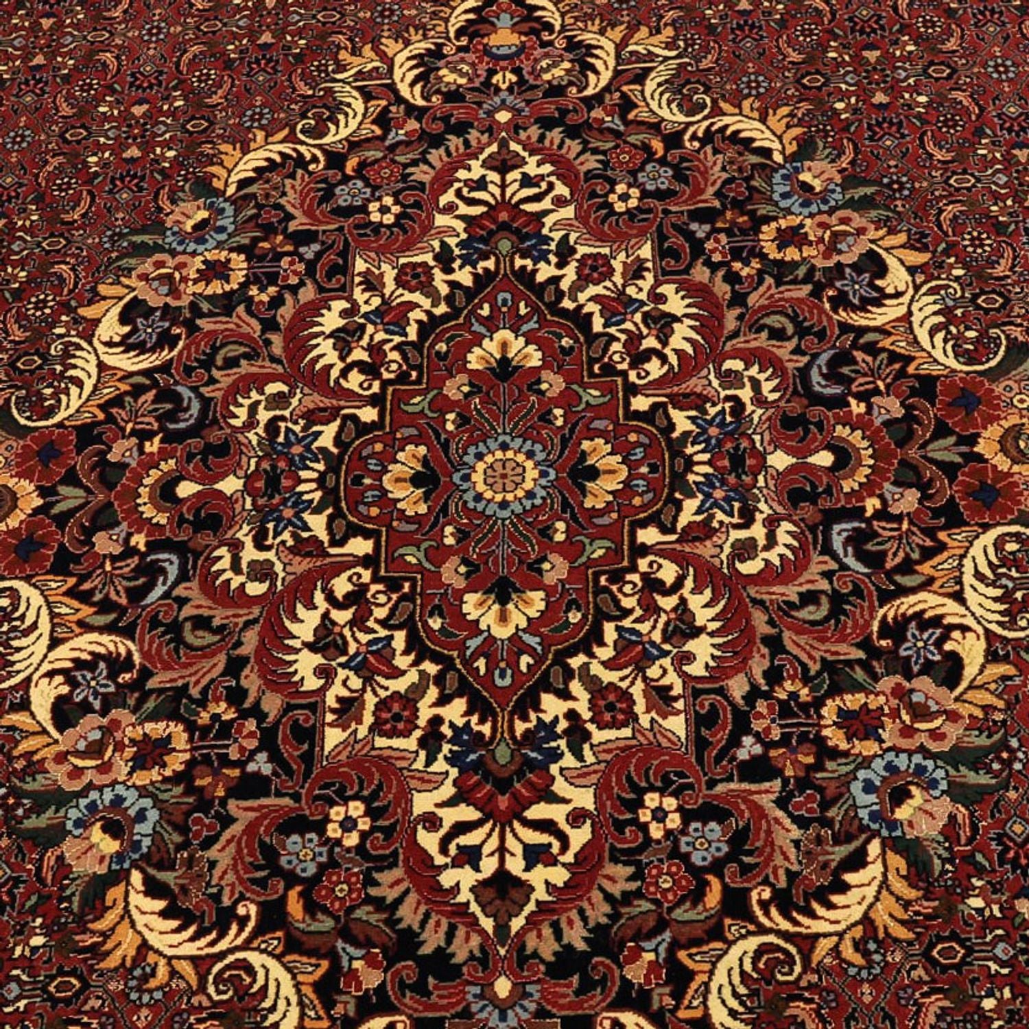 Persisk tæppe - Bijar - Royal - 304 x 254 cm - terrakotta