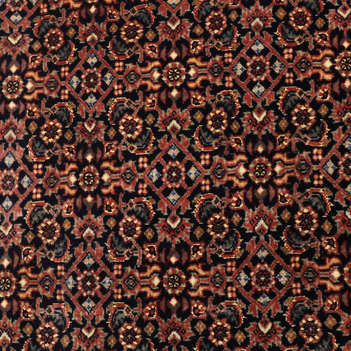 Persisk tæppe - Bijar - 152 x 88 cm - mørk beige