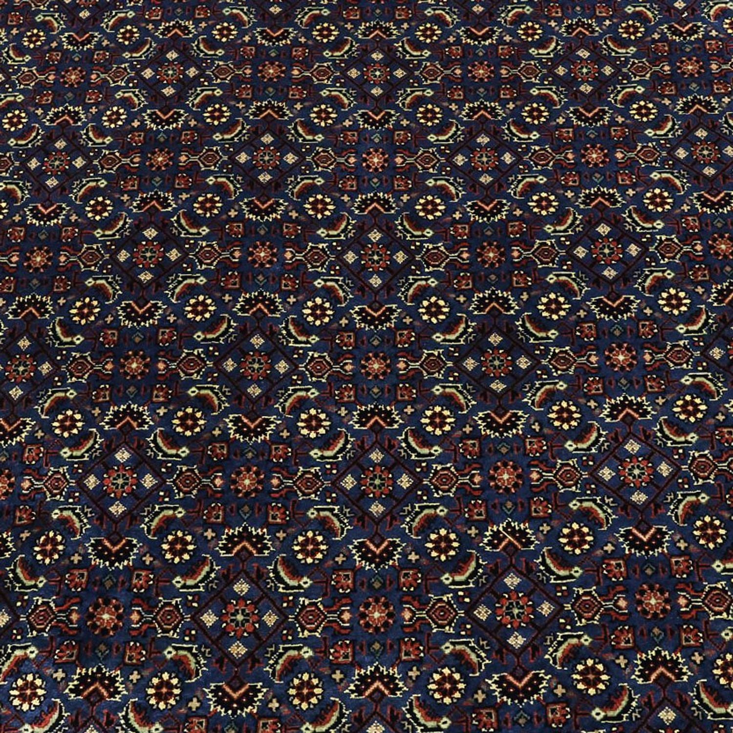 Persisk tæppe - Bijar - Royal - 319 x 256 cm - mørkeblå