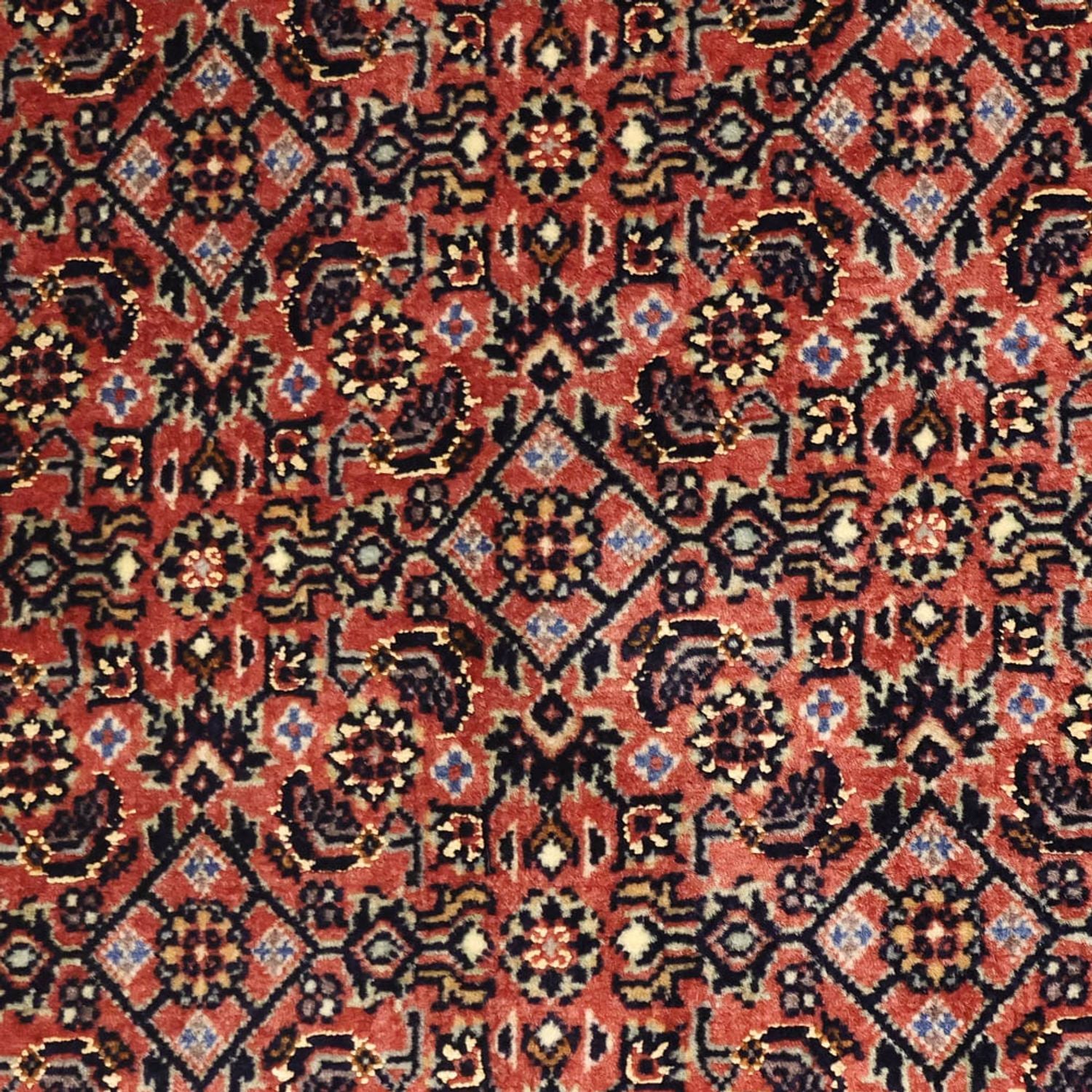 Persisk tæppe - Bijar - 148 x 90 cm - rust