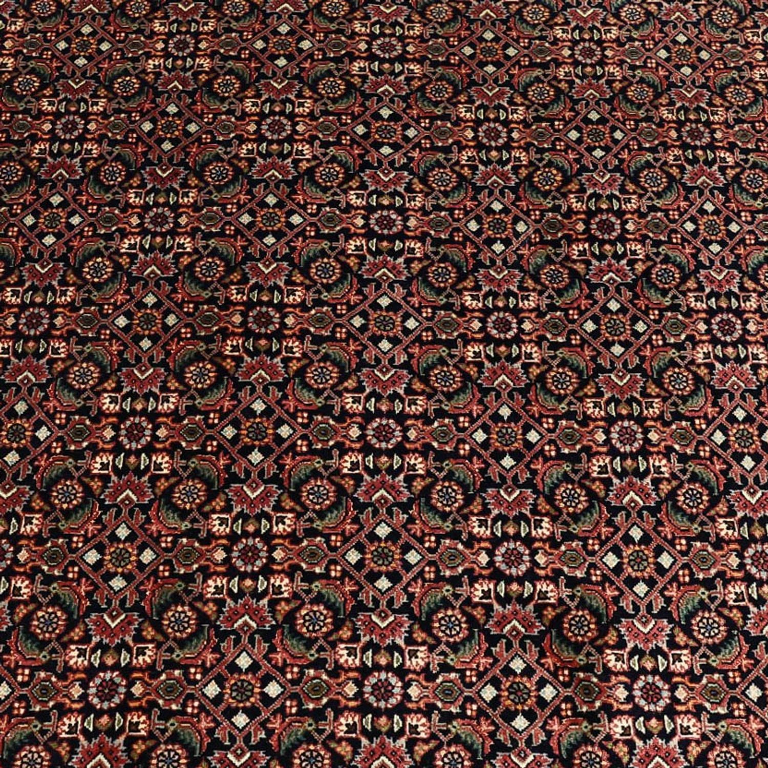 Persisk tæppe - Bijar - 337 x 255 cm - mørkeblå