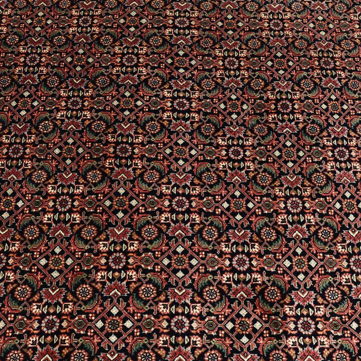 Persisk tæppe - Bijar - 337 x 255 cm - mørkeblå