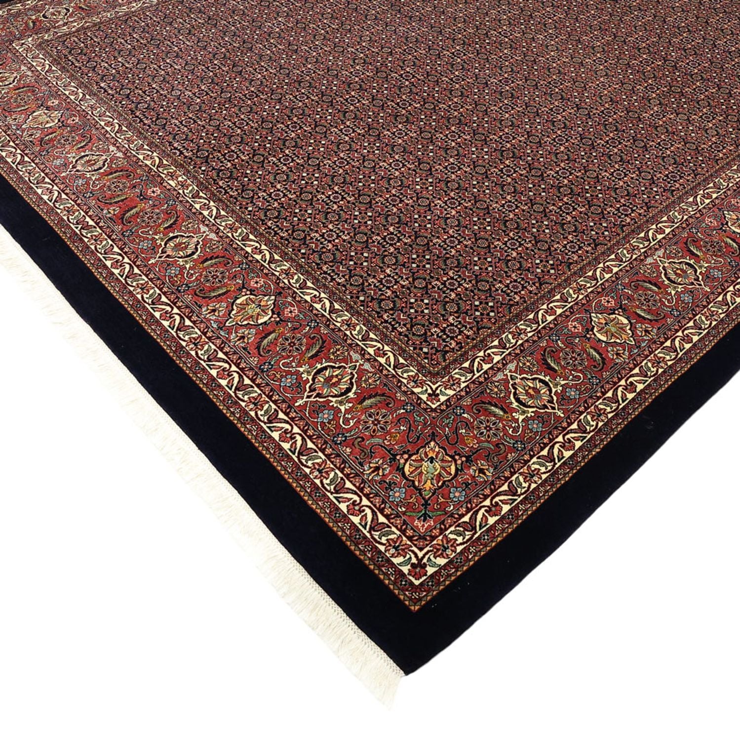 Persisk tæppe - Bijar - 337 x 255 cm - mørkeblå