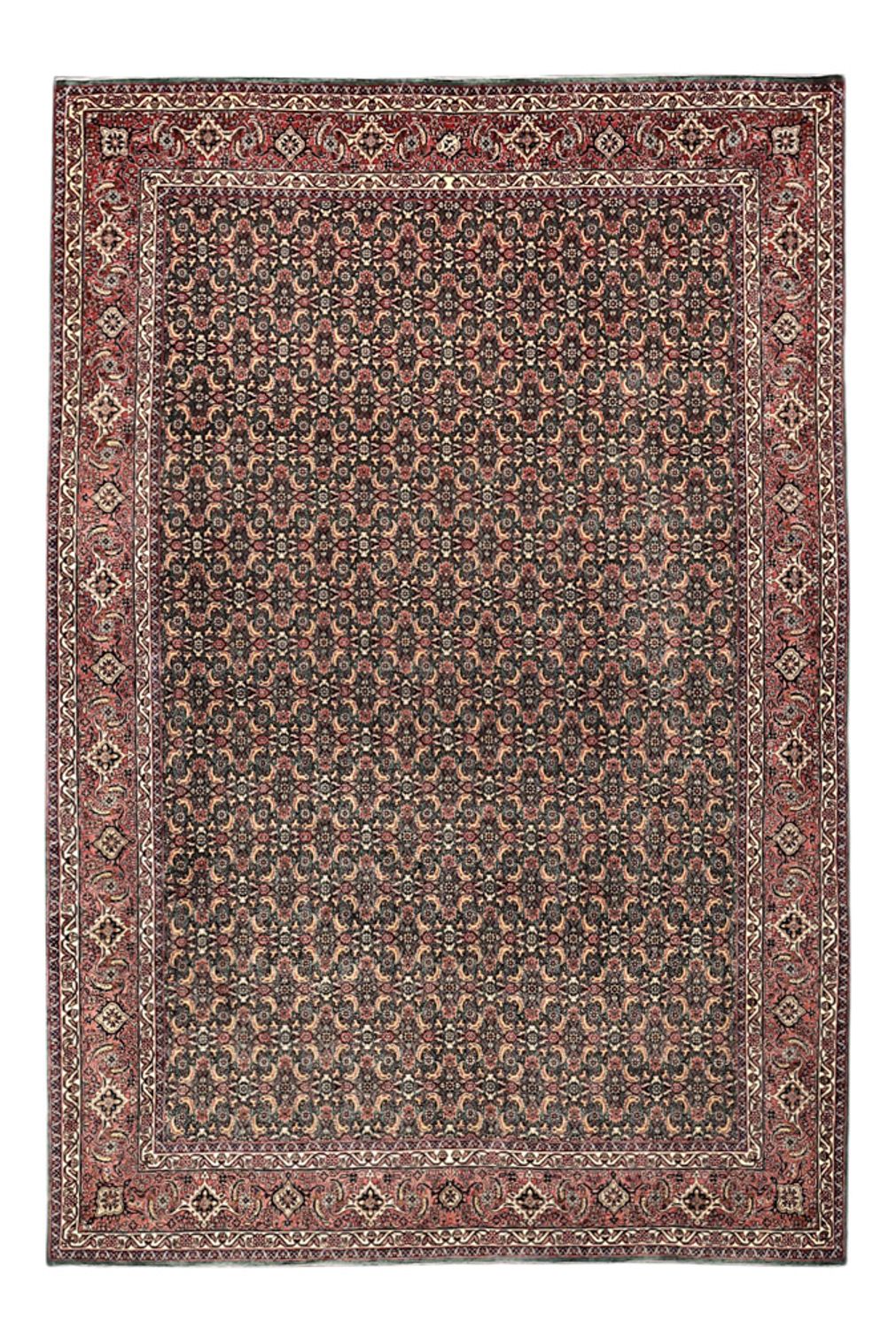 Persisk tæppe - Bijar - Royal - 301 x 203 cm - mørkeblå