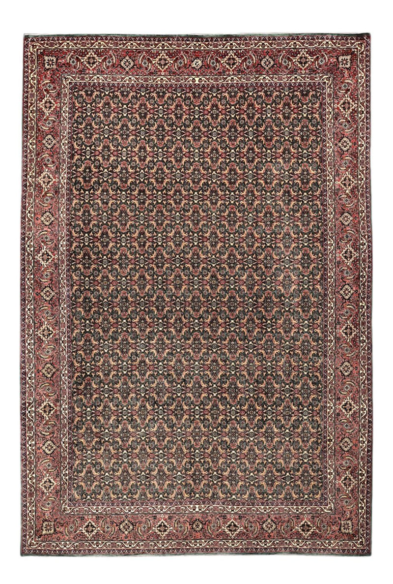 Persisk tæppe - Bijar - Royal - 301 x 203 cm - mørkeblå