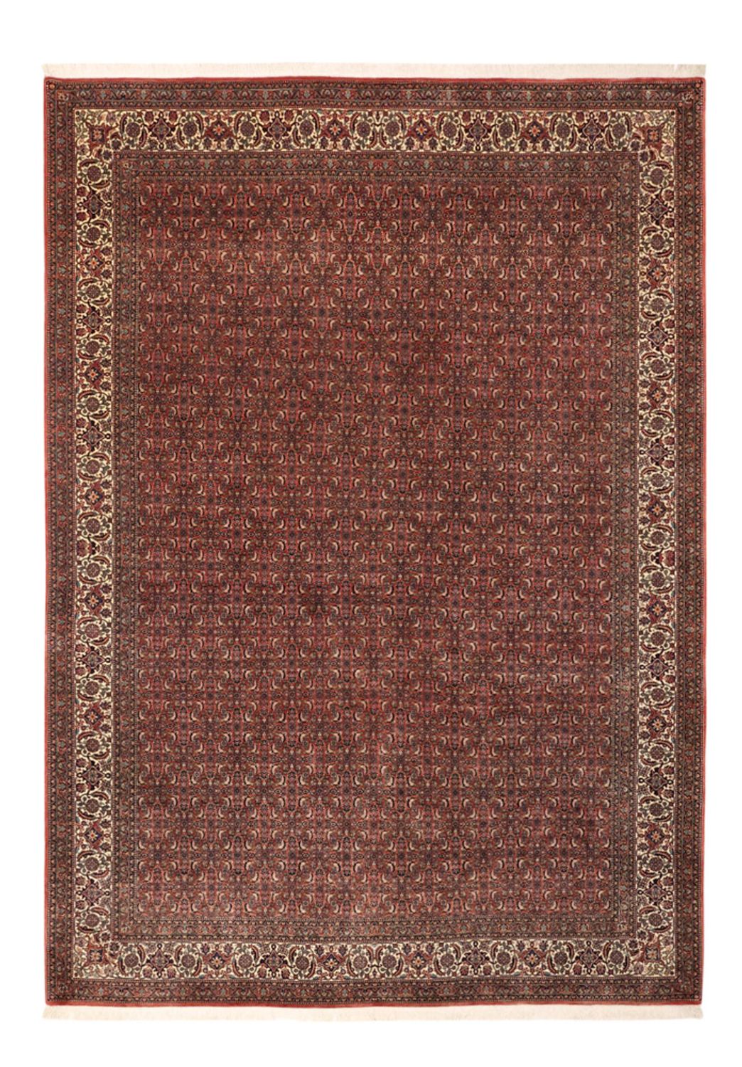 Persisk tæppe - Bijar - Royal - 350 x 256 cm - mørkerød