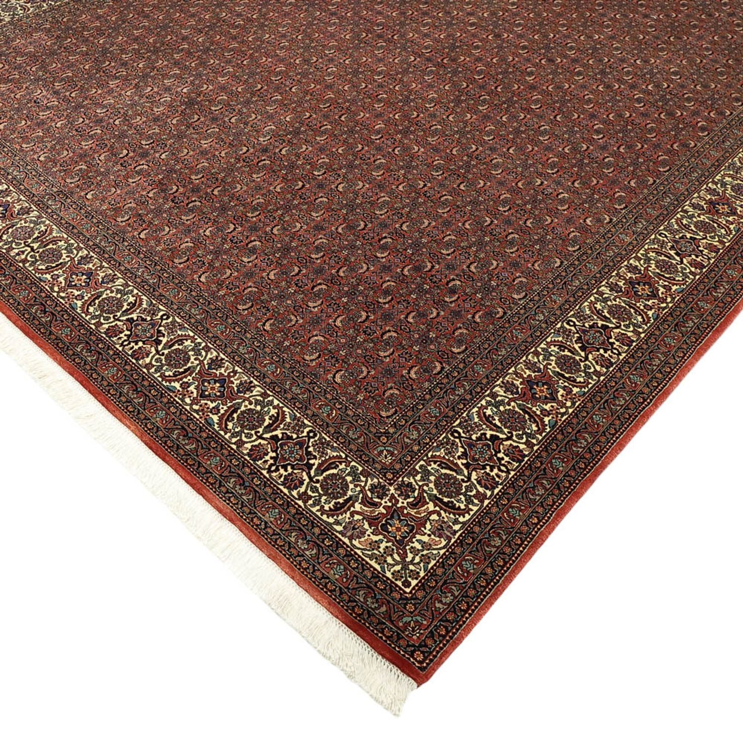 Persisk tæppe - Bijar - Royal - 350 x 256 cm - mørkerød