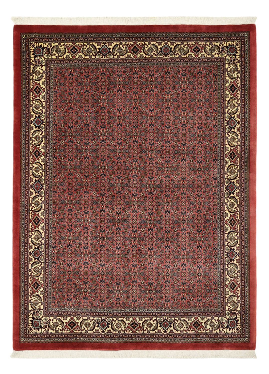 Persisk tæppe - Bijar - Royal - 204 x 152 cm - mørk beige
