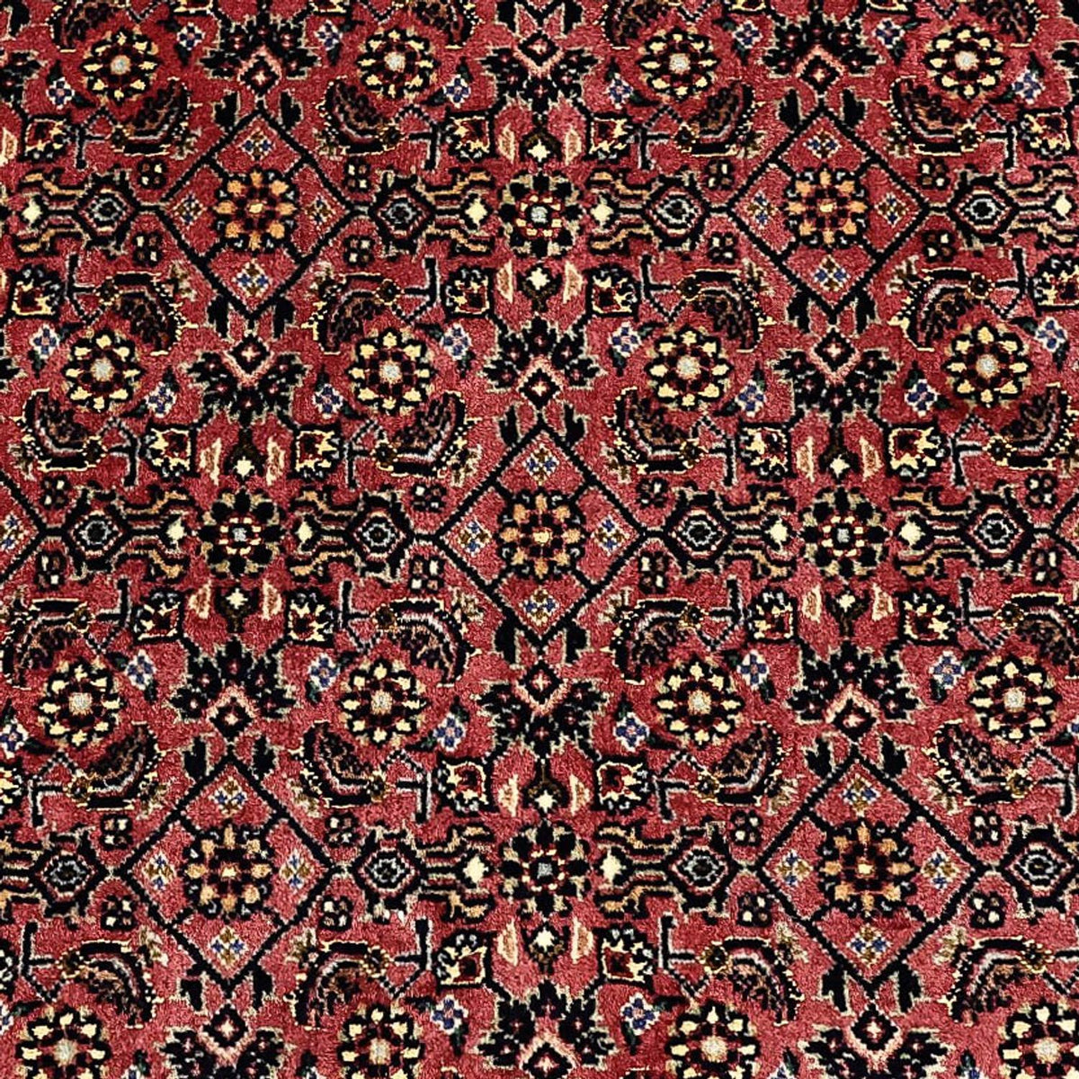 Persisk tæppe - Bijar - Royal - 204 x 152 cm - mørk beige