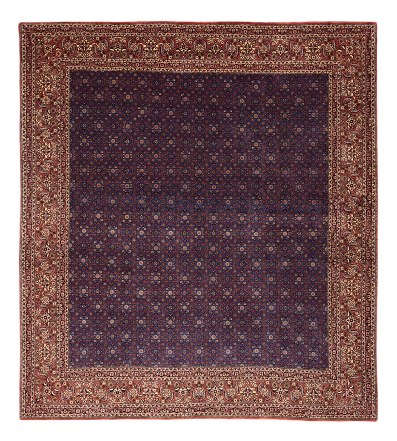 Persisk tæppe - Bijar - Royal - 286 x 255 cm - mørkeblå