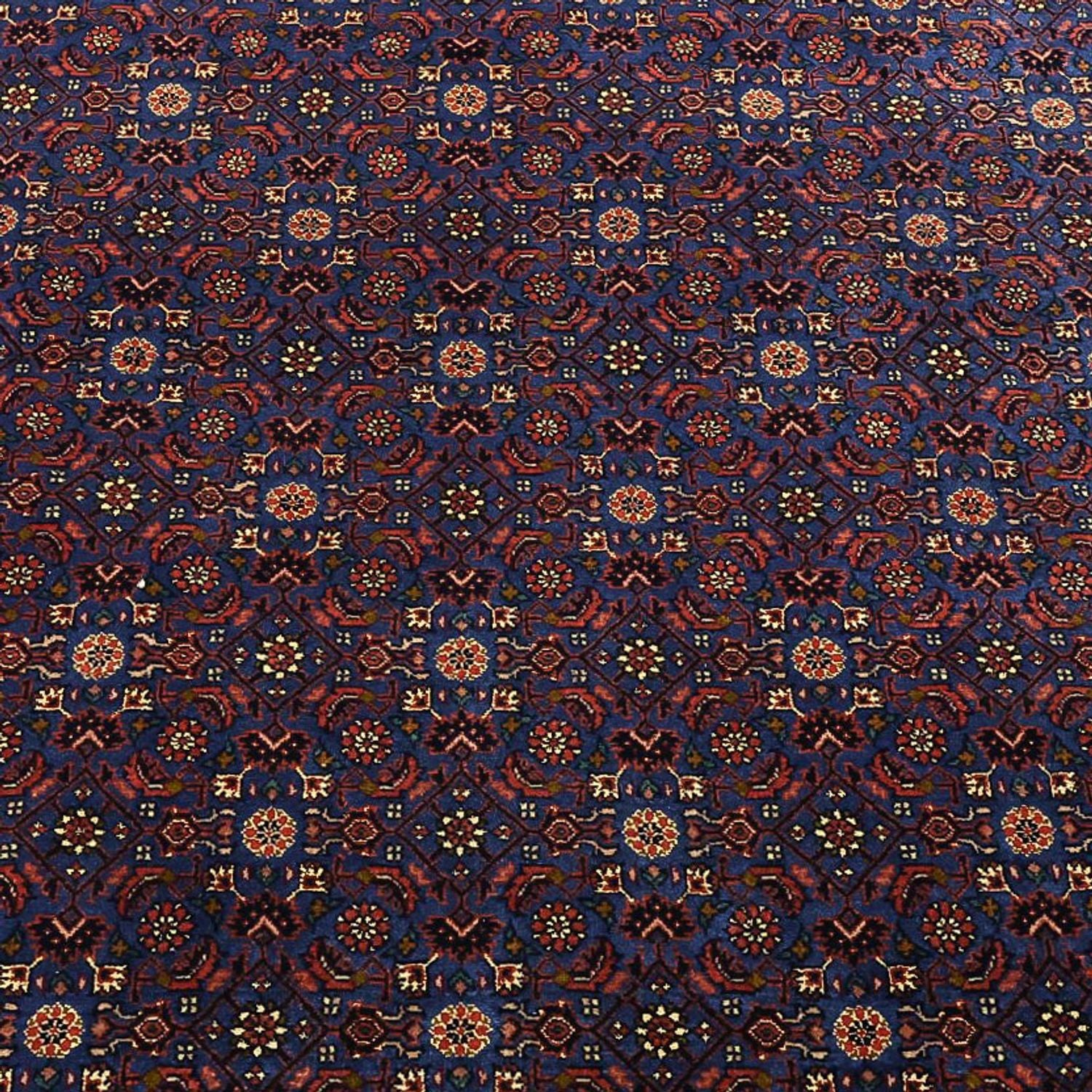 Persisk tæppe - Bijar - Royal - 286 x 255 cm - mørkeblå