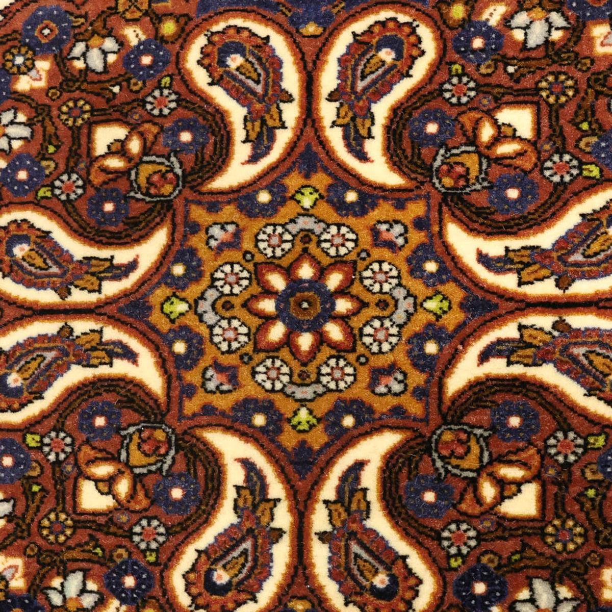 Persisk tæppe - Classic - 159 x 107 cm - flerfarvet